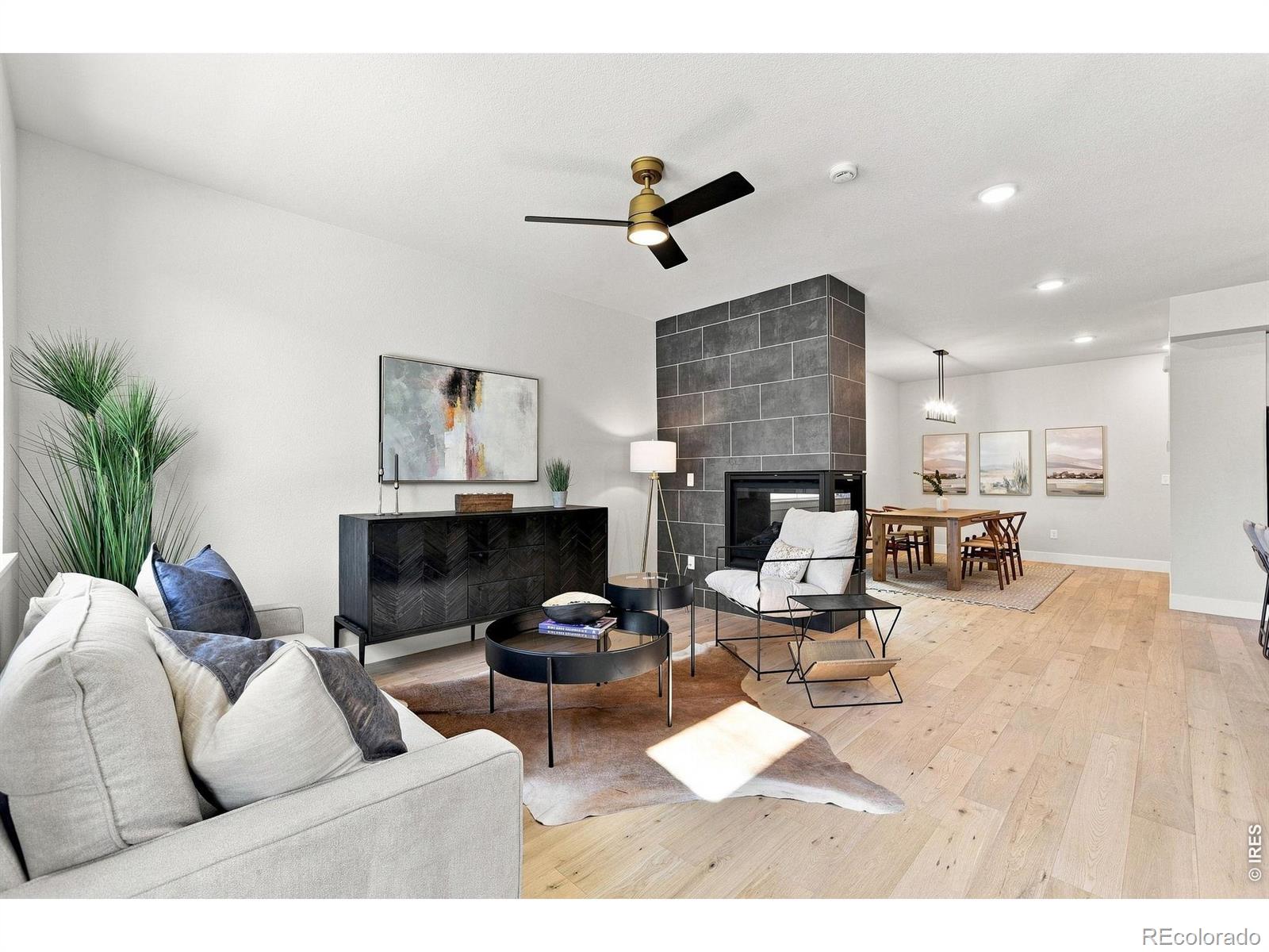 MLS #RECIR1068639 image #1
