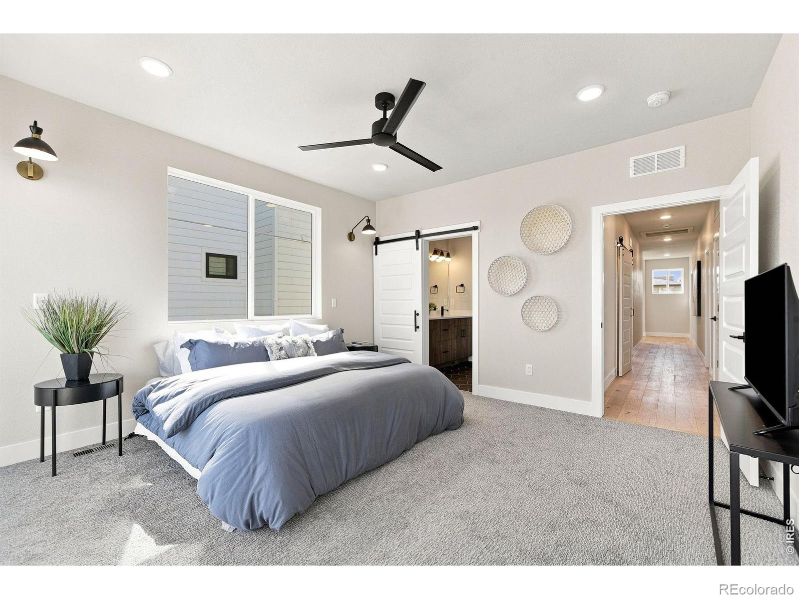 MLS #RECIR1068639 image #15