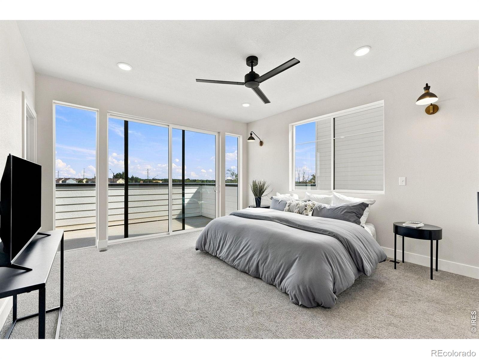 MLS #RECIR1068639 image #16