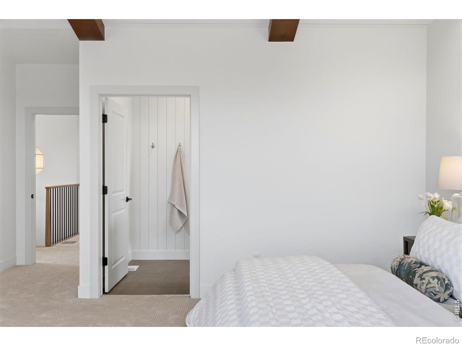 MLS #RECIR1068662 image #11