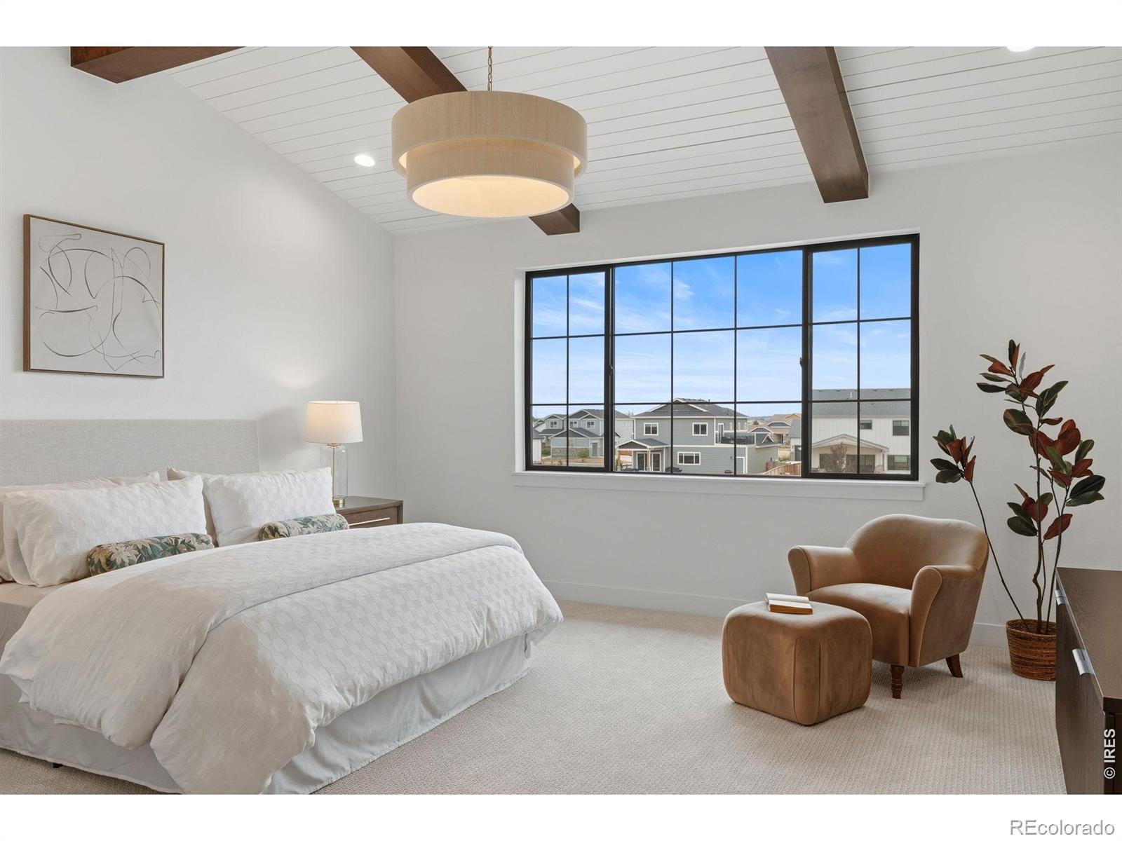 MLS #RECIR1068662 image #9