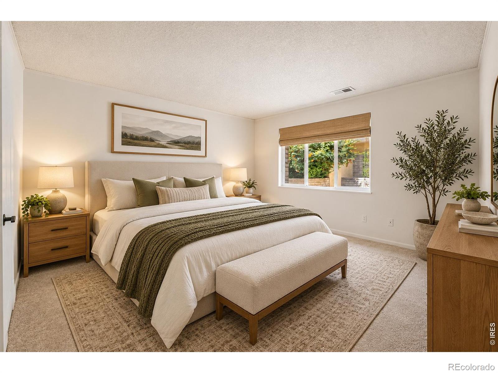 MLS #RECIR1068684 image #4