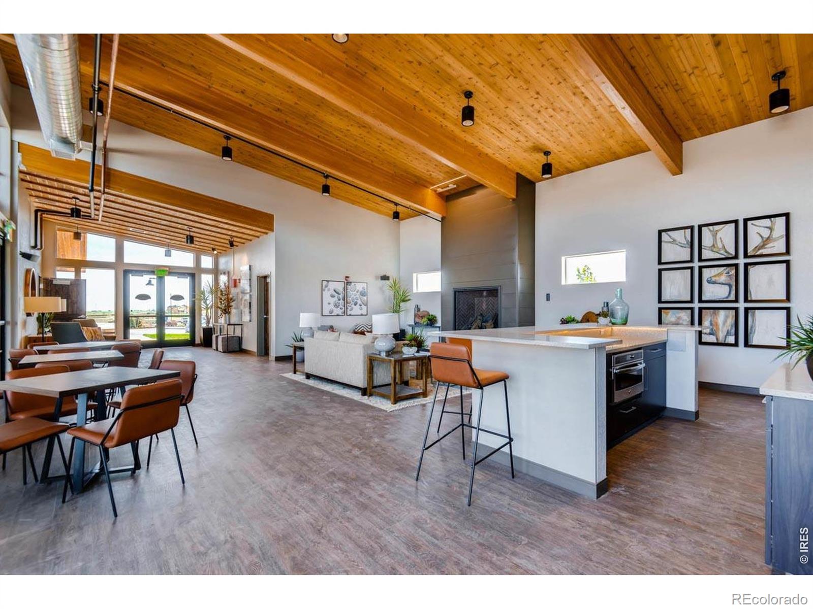 MLS #RECIR1068686 image #48