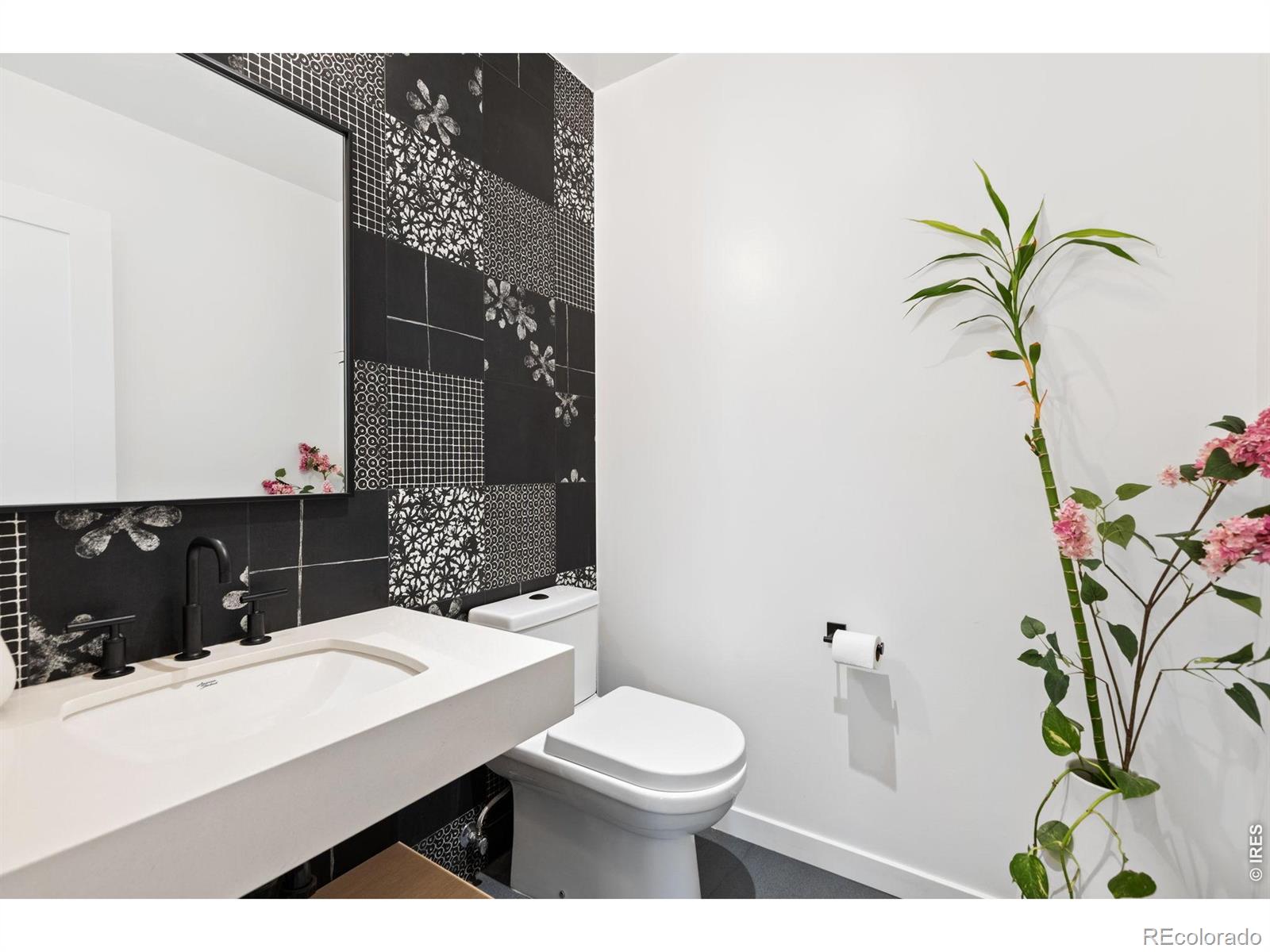 MLS #RECIR1068714 image #16