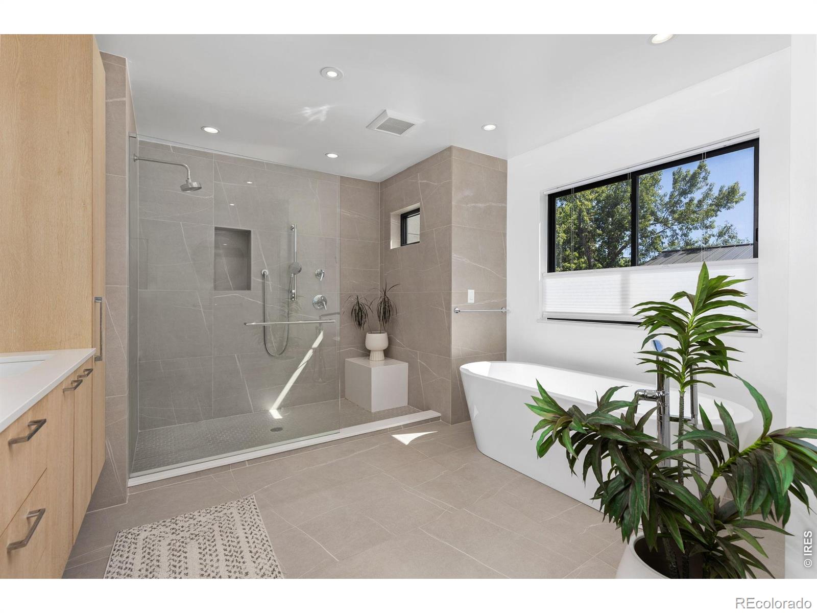 MLS #RECIR1068714 image #20