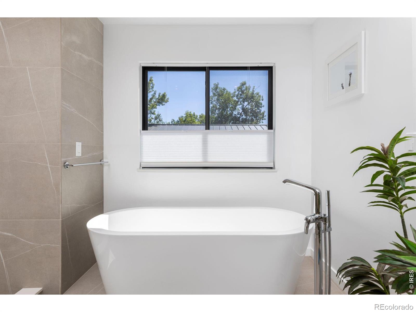 MLS #RECIR1068714 image #21
