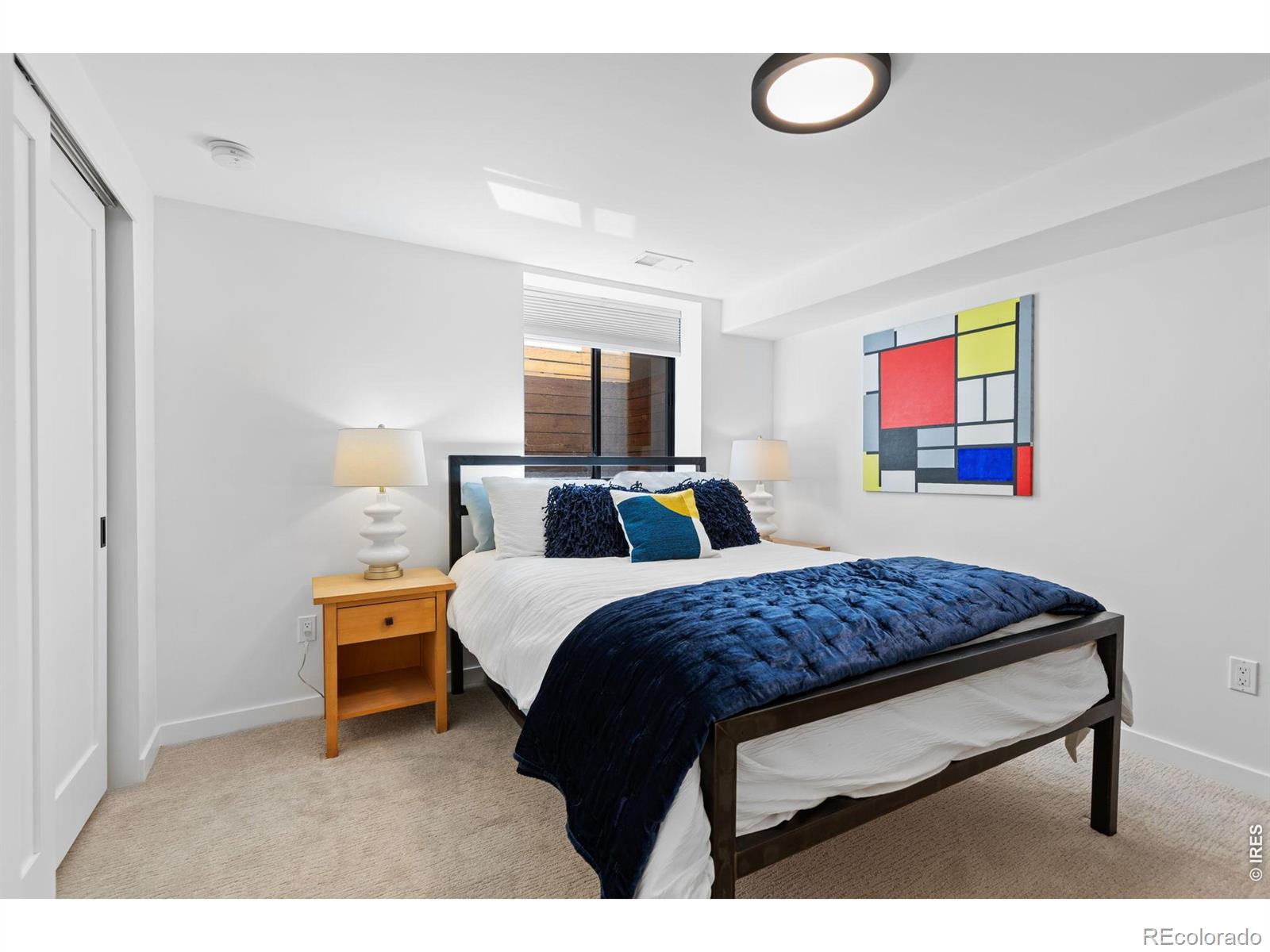 MLS #RECIR1068714 image #32