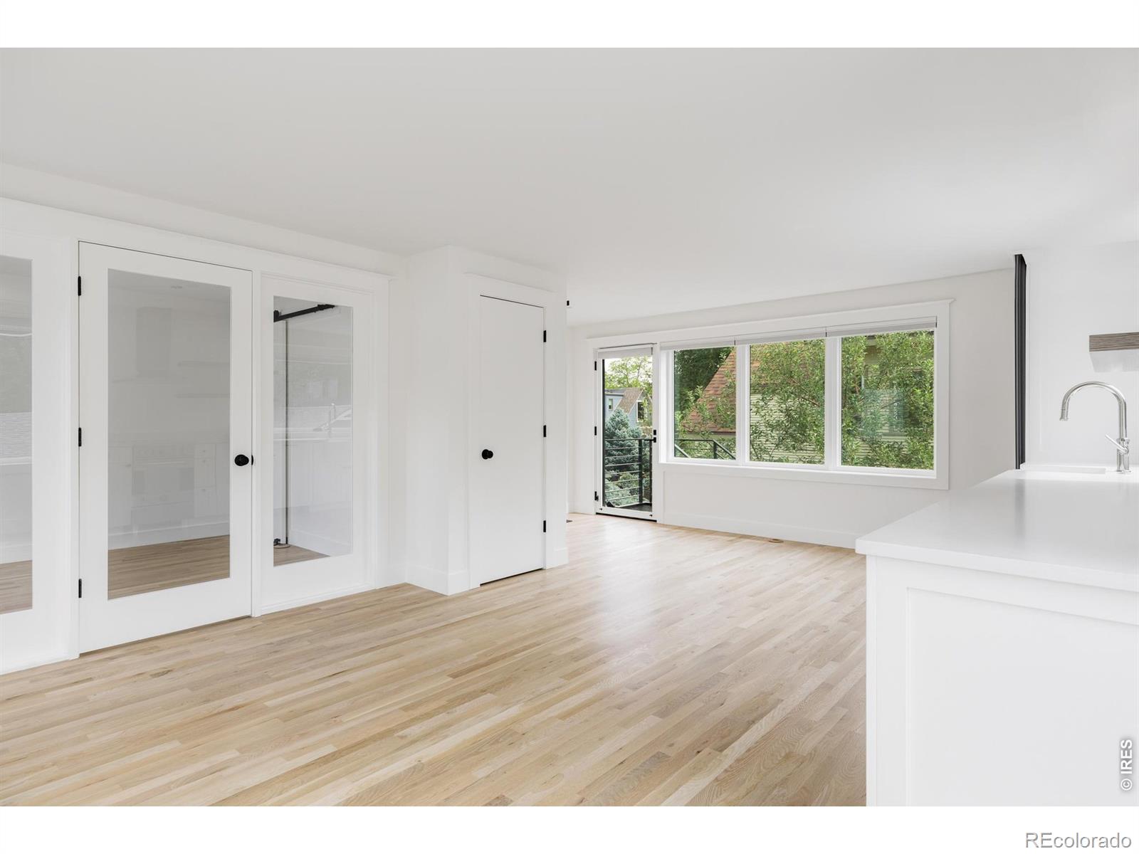 MLS #RECIR1068753 image #23