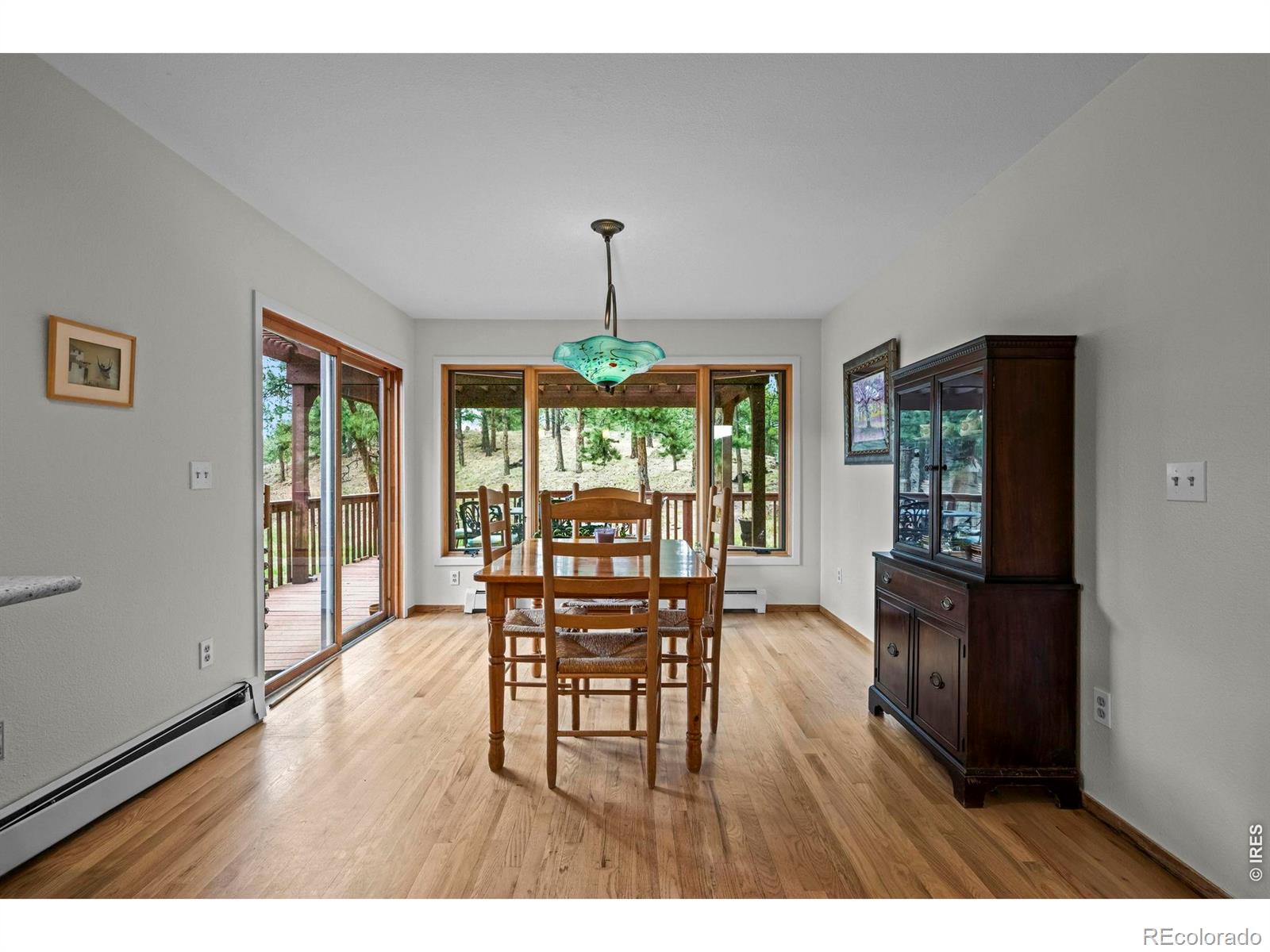 MLS #RECIR1068757 image #14