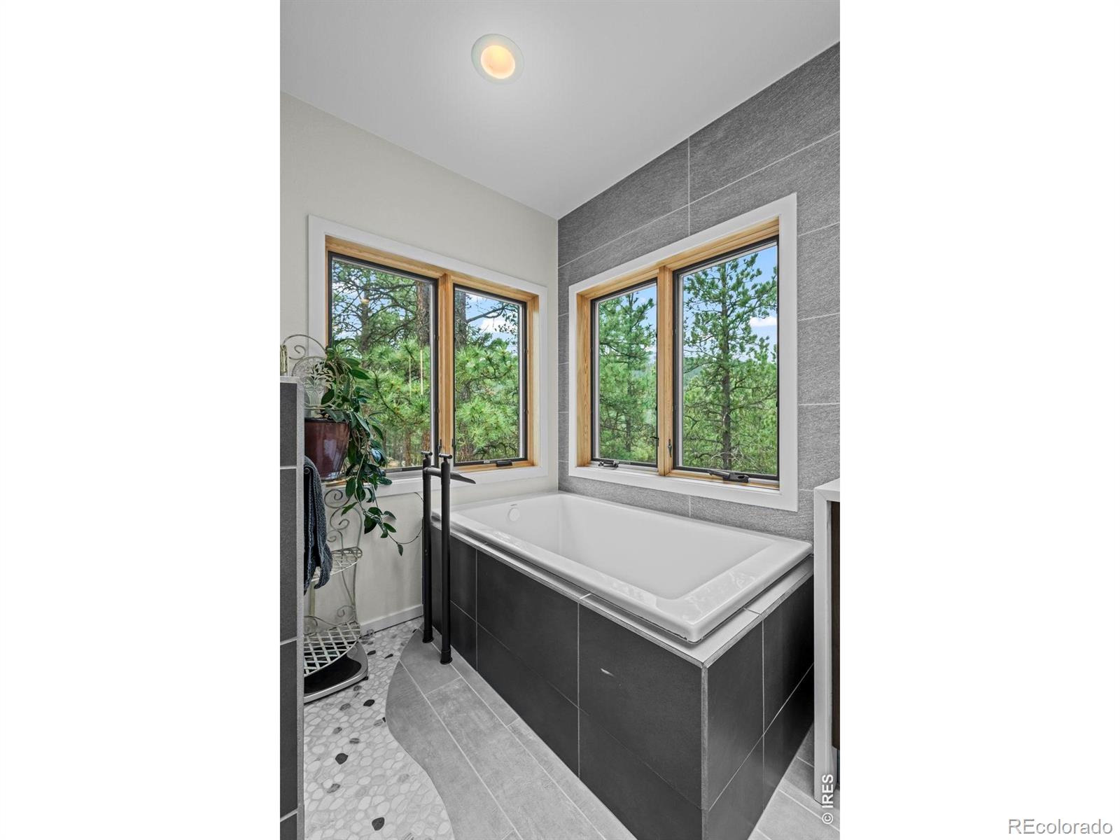 MLS #RECIR1068757 image #18
