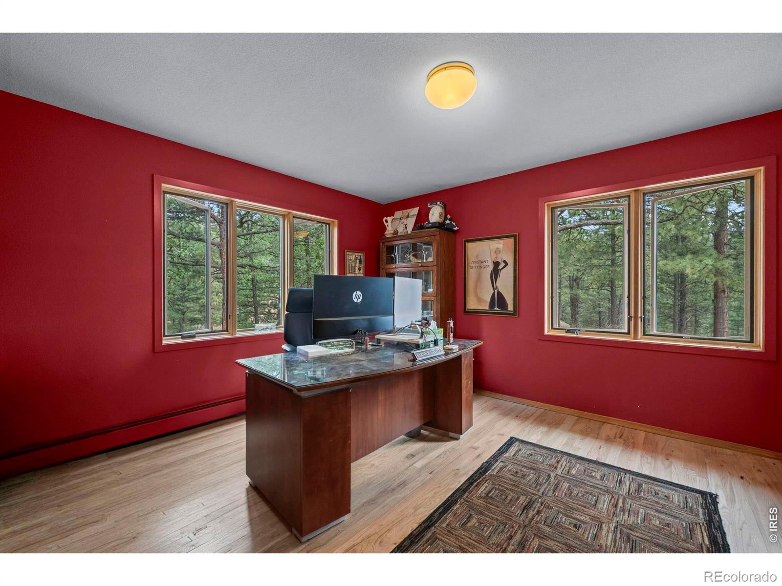 MLS #RECIR1068757 image #19