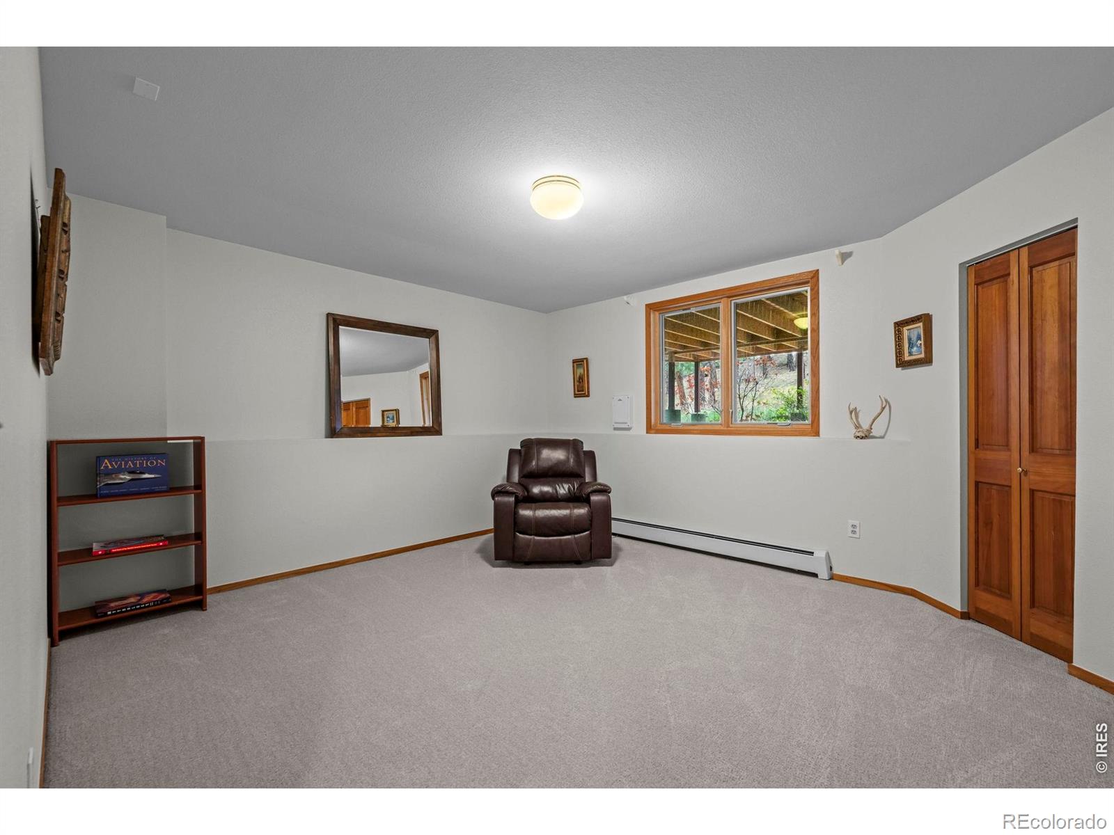 MLS #RECIR1068757 image #23