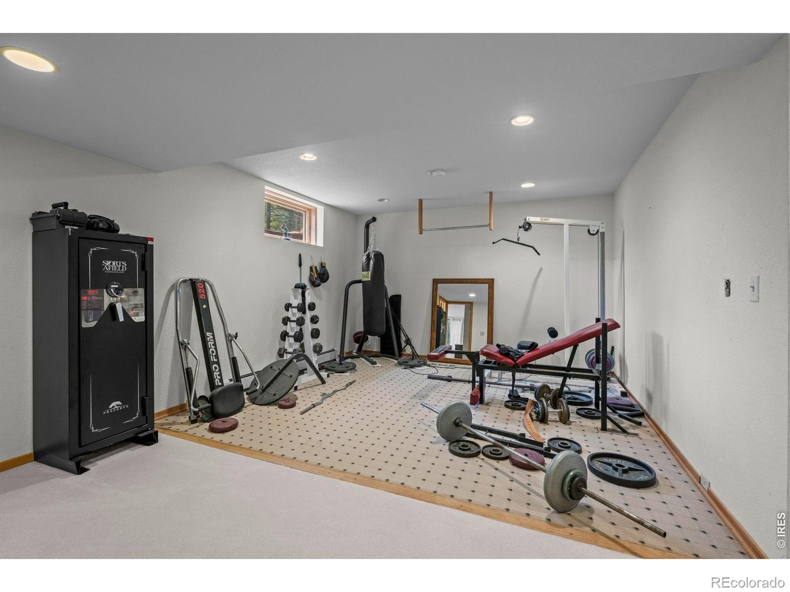MLS #RECIR1068757 image #29