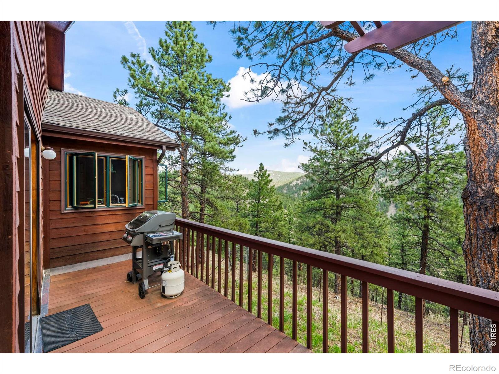 MLS #RECIR1068757 image #38