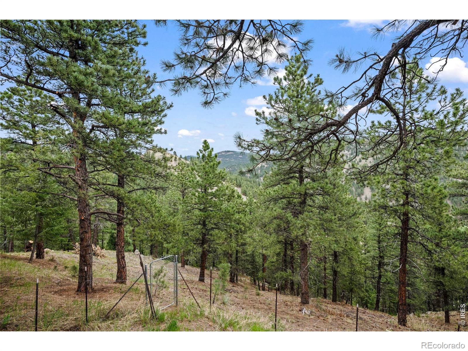 MLS #RECIR1068757 image #39