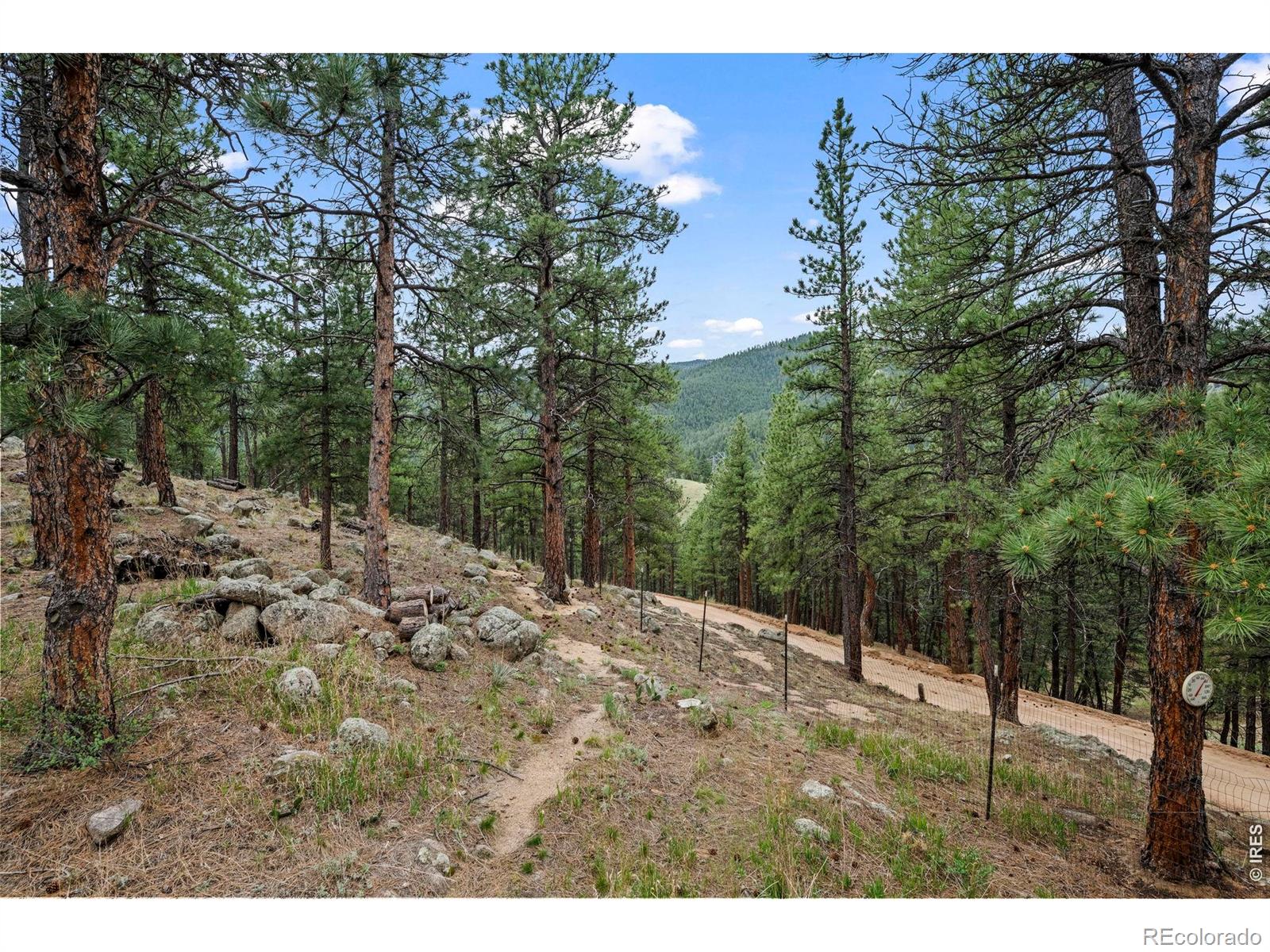 MLS #RECIR1068757 image #40