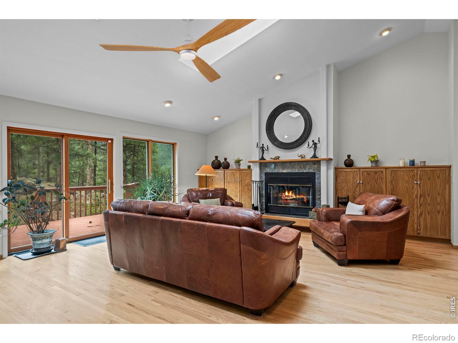 MLS #RECIR1068757 image #7