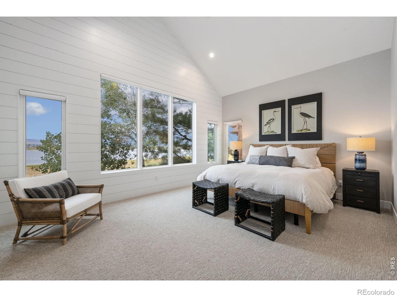 MLS #RECIR1068767 image #12