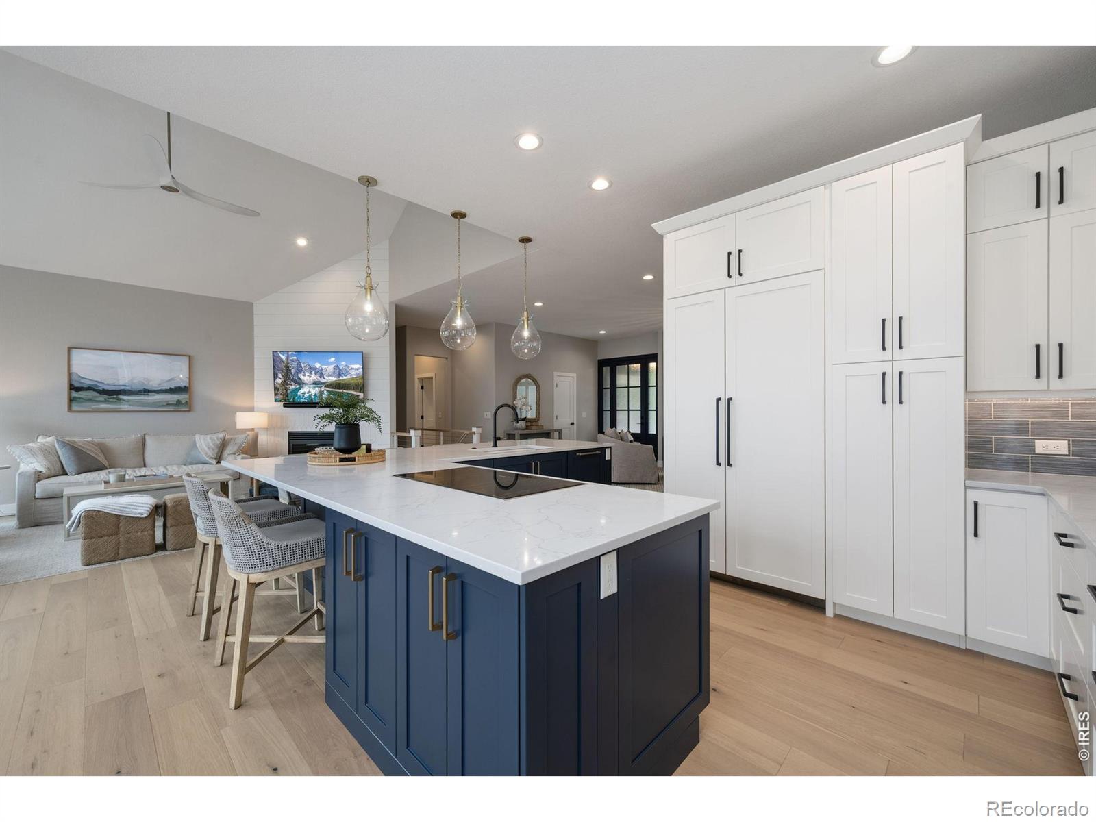 MLS #RECIR1068767 image #8