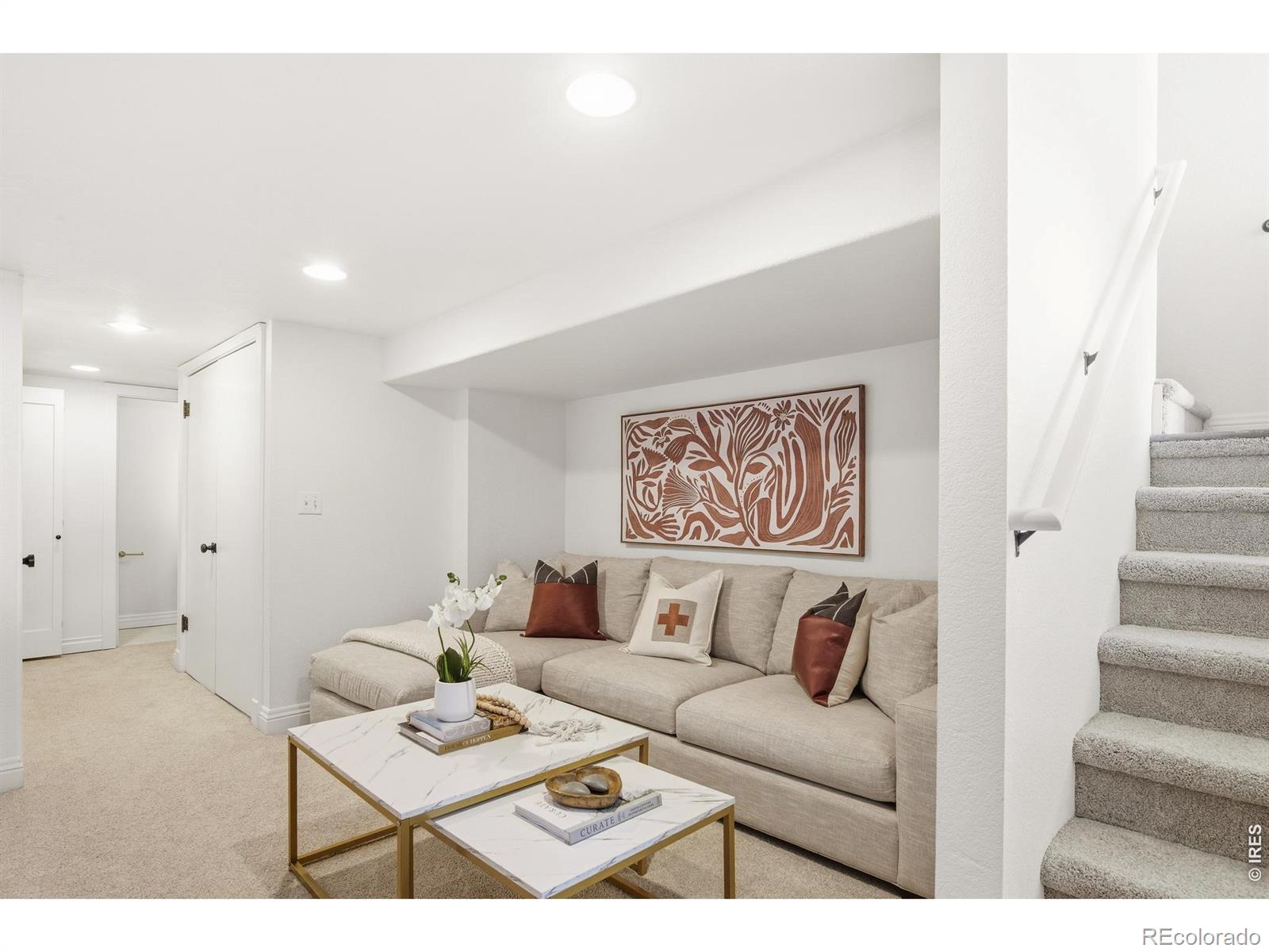 MLS #RECIR1068784 image #10