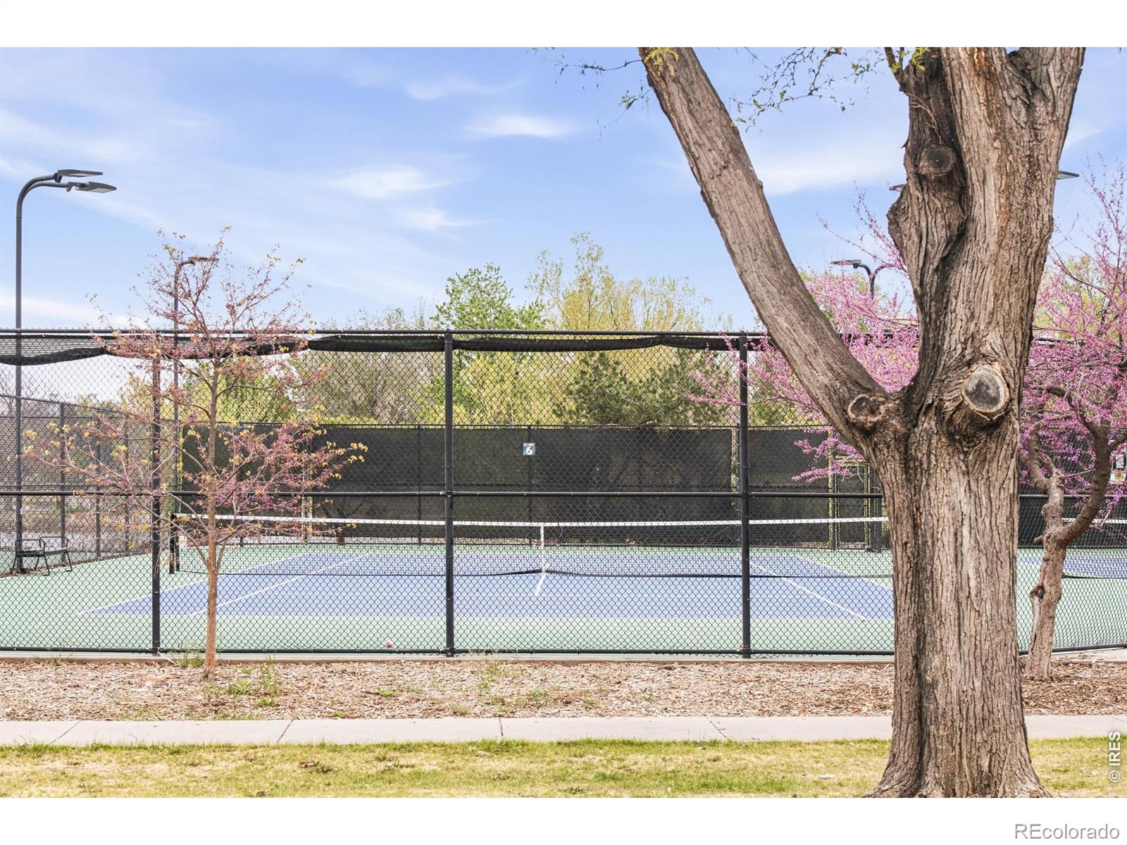MLS #RECIR1068784 image #31