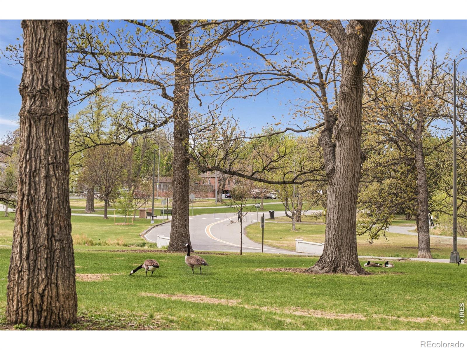 MLS #RECIR1068784 image #32