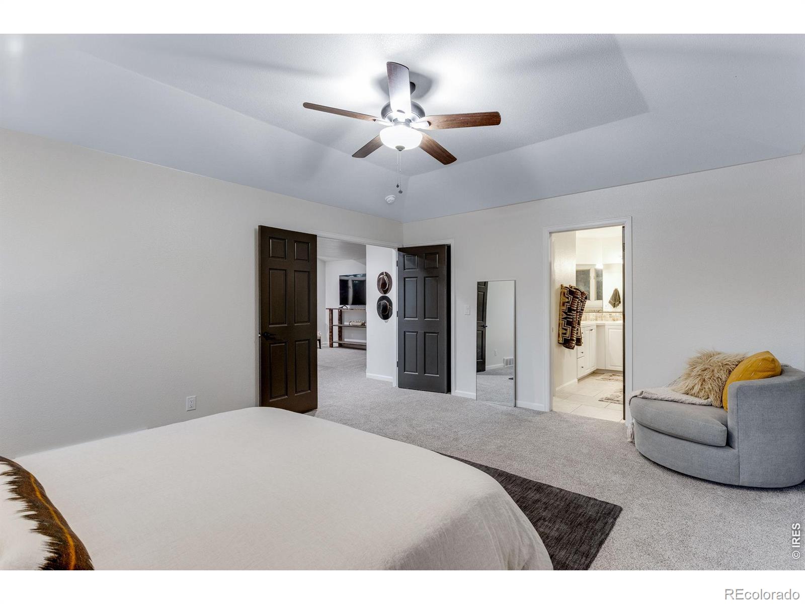 MLS #RECIR1068872 image #20