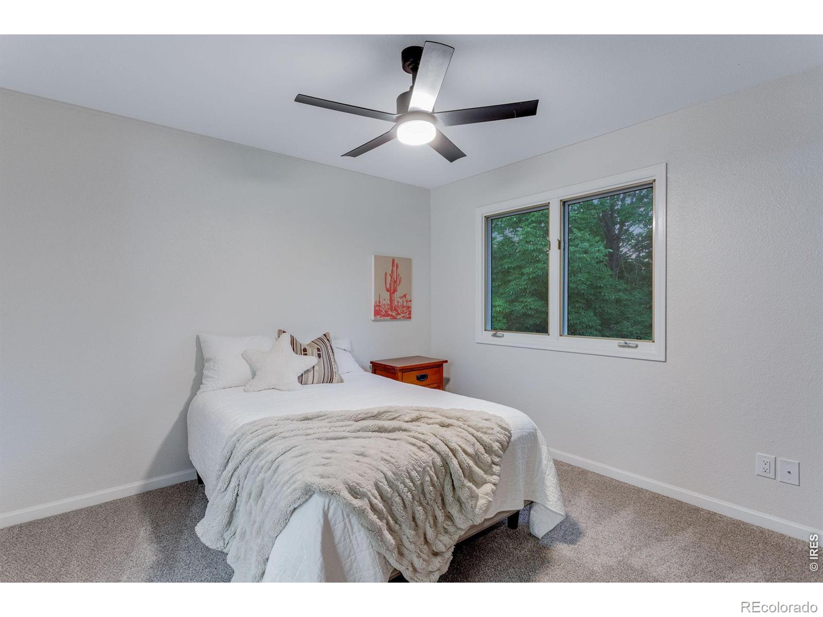 MLS #RECIR1068872 image #22