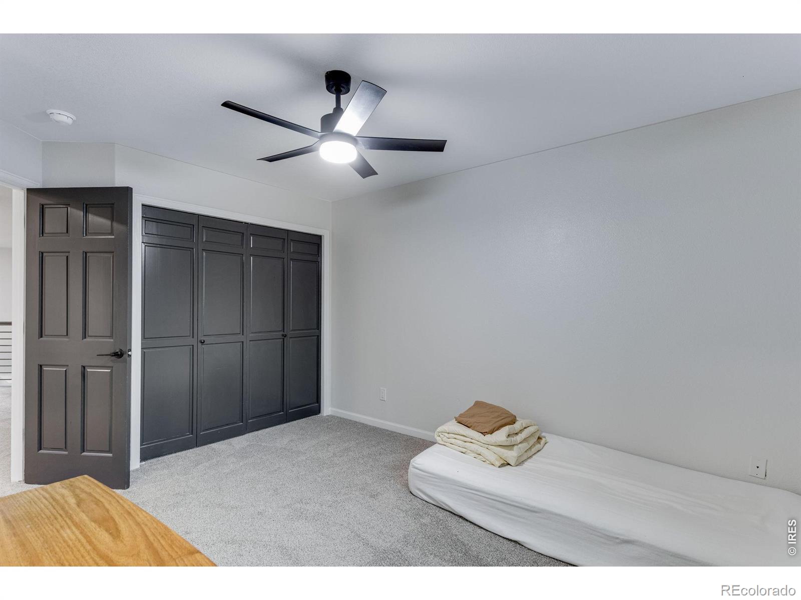 MLS #RECIR1068872 image #24