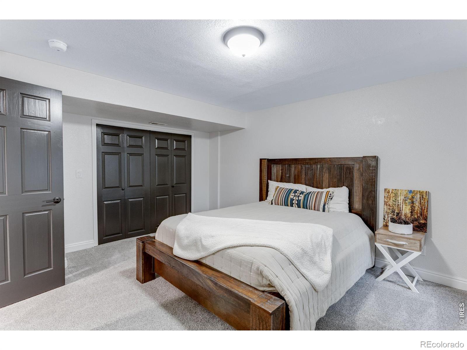 MLS #RECIR1068872 image #29