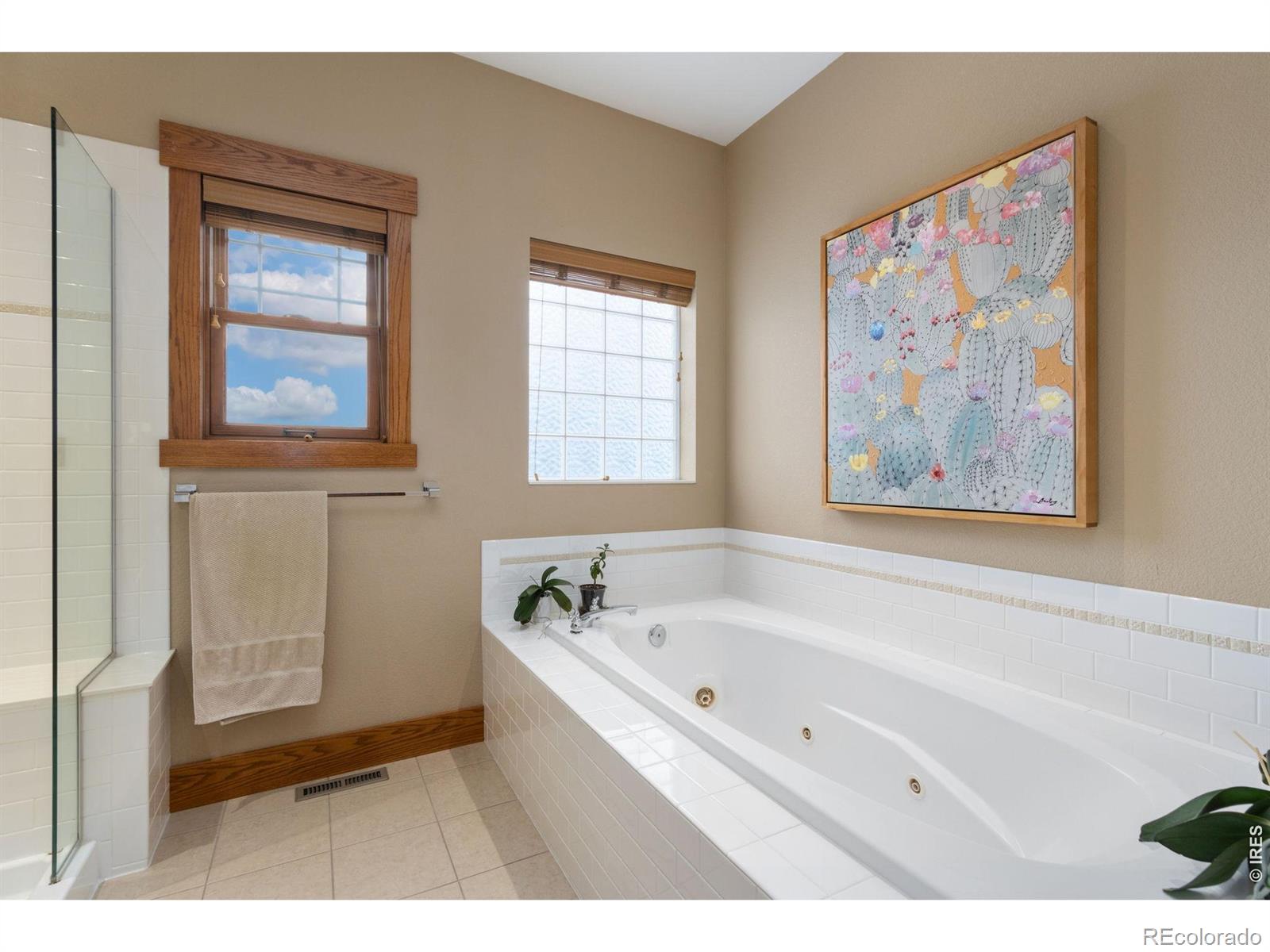 MLS #RECIR1068905 image #26