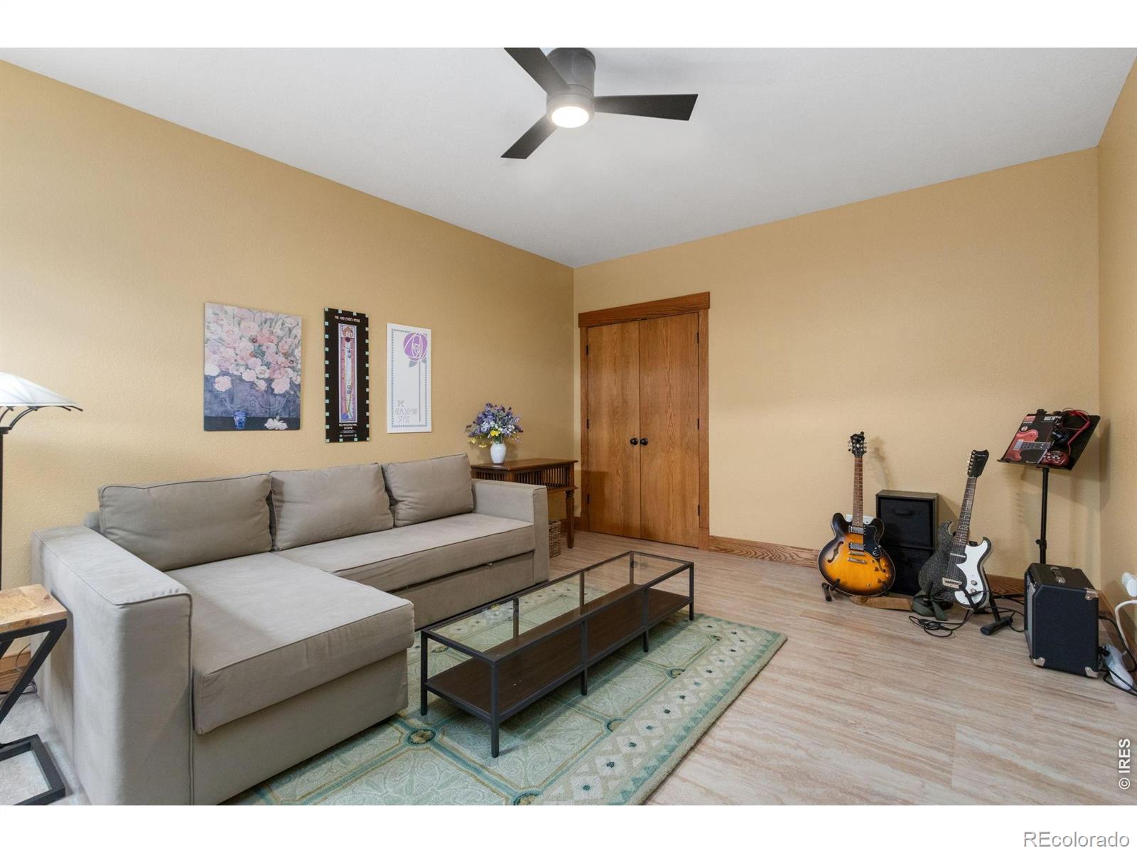 MLS #RECIR1068905 image #32