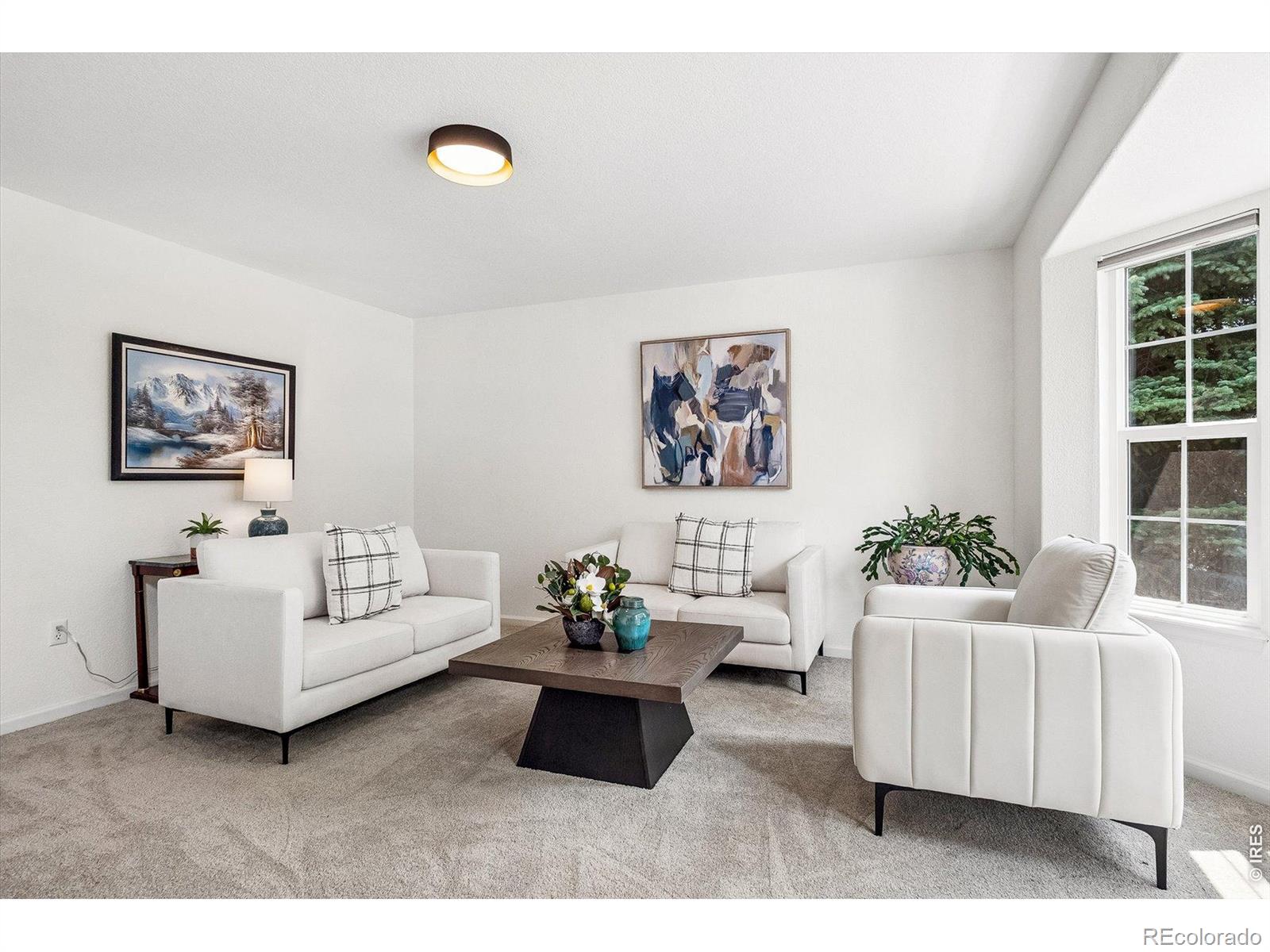 MLS #RECIR1068945 image #14