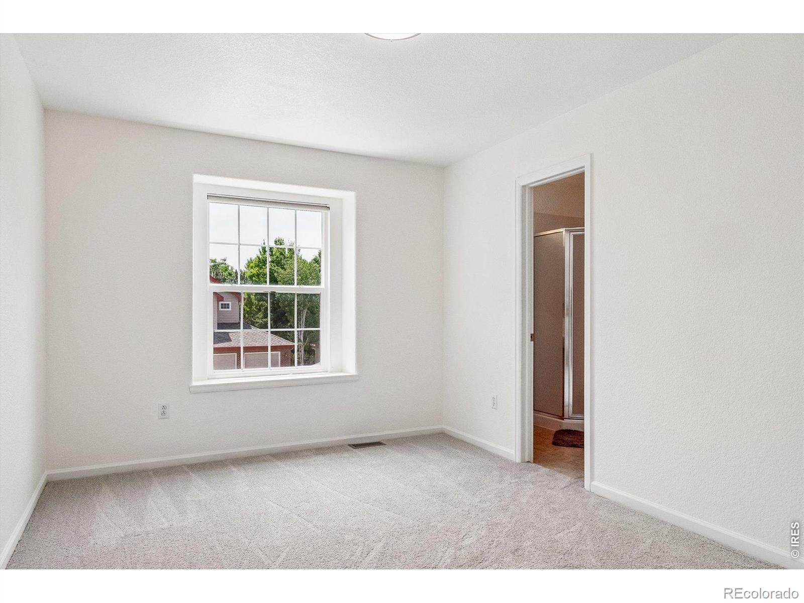 MLS #RECIR1068945 image #17