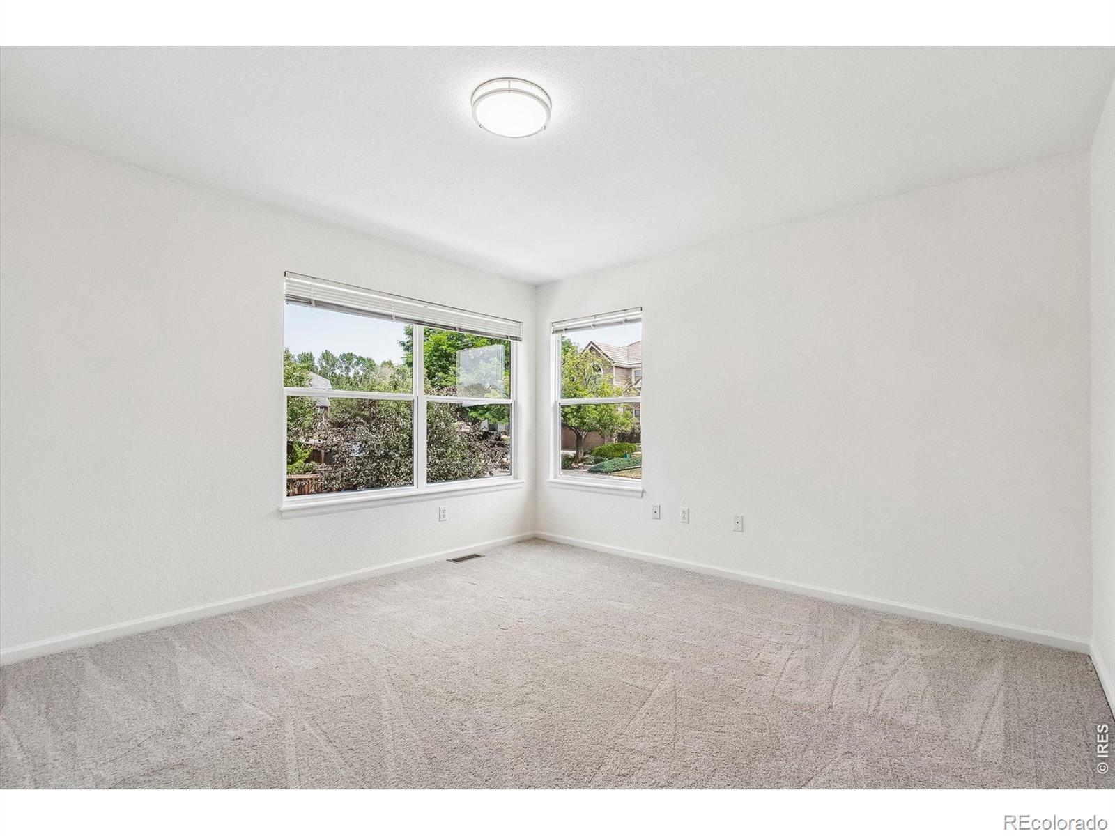 MLS #RECIR1068945 image #24