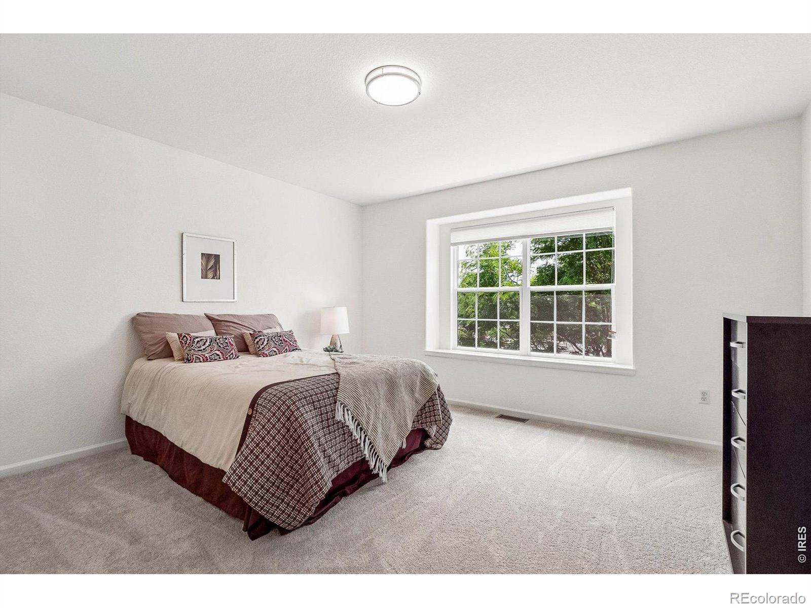MLS #RECIR1068945 image #27