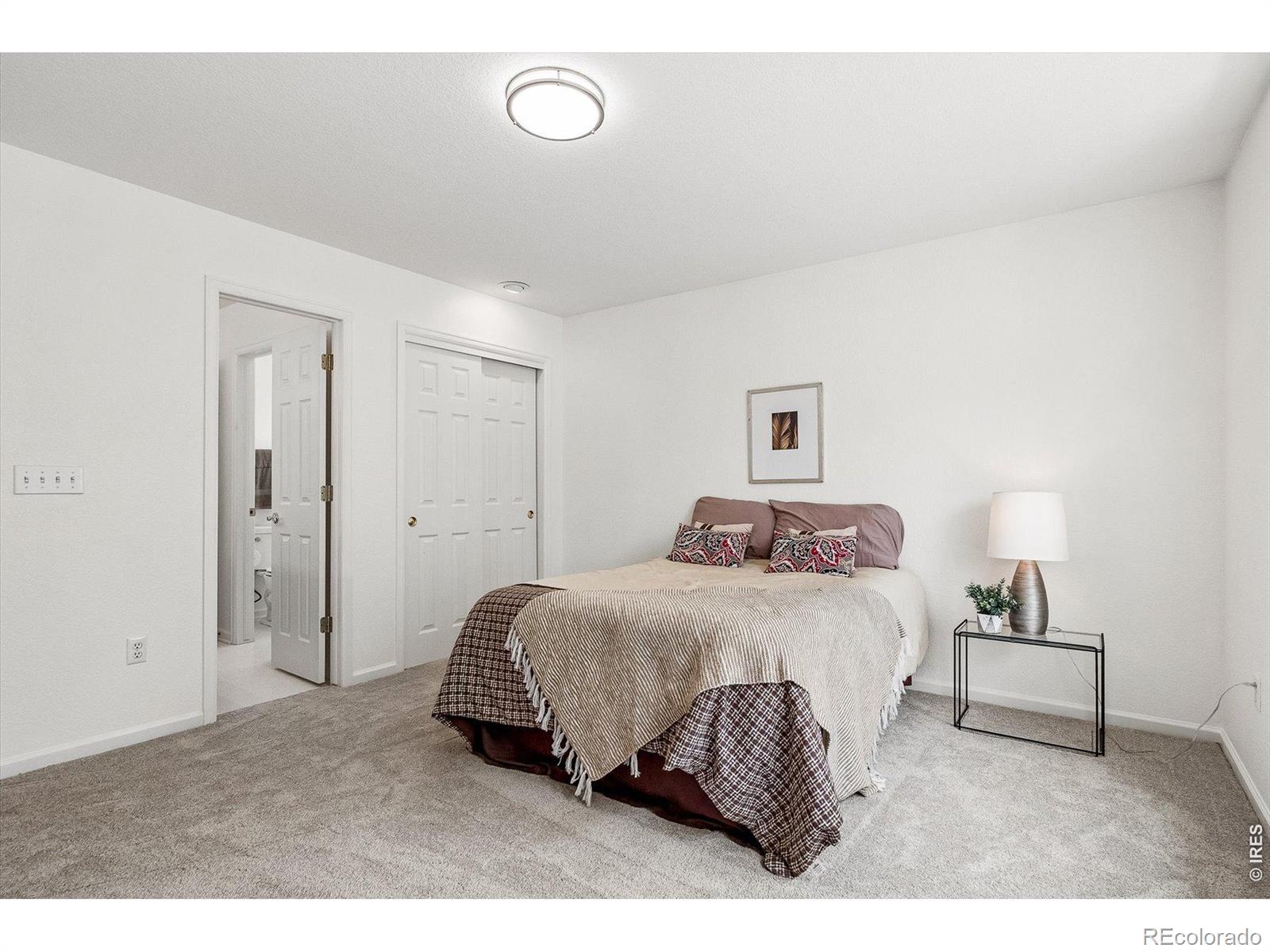 MLS #RECIR1068945 image #28