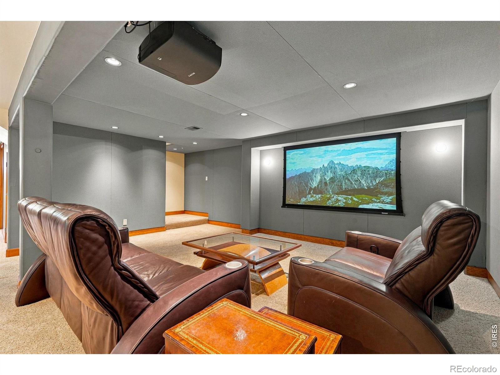MLS #RECIR1069027 image #29