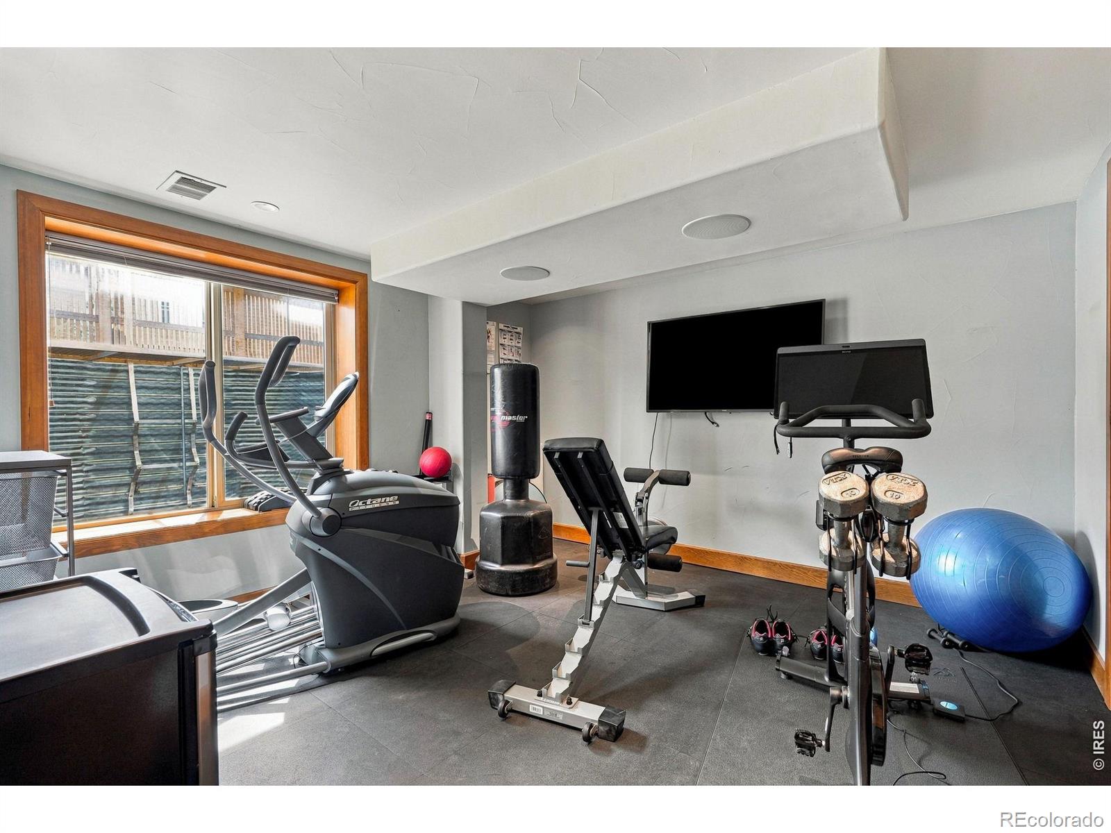 MLS #RECIR1069027 image #32