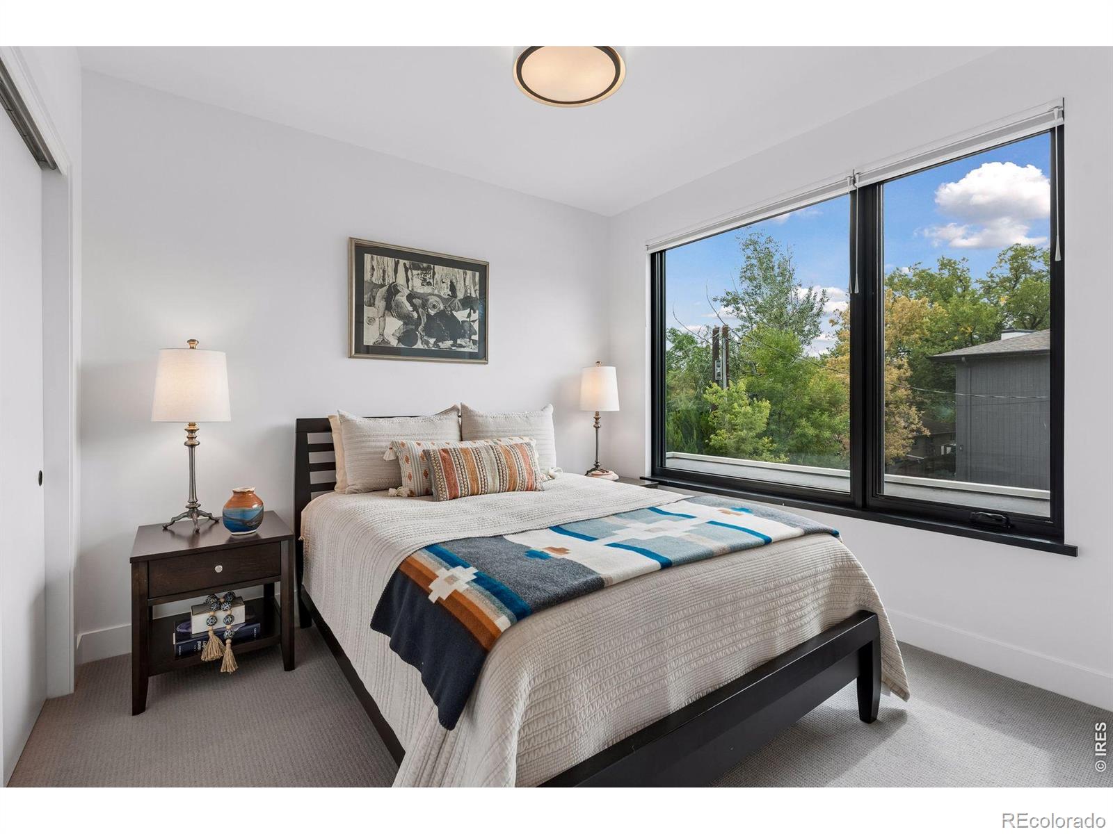 MLS #RECIR1069035 image #28