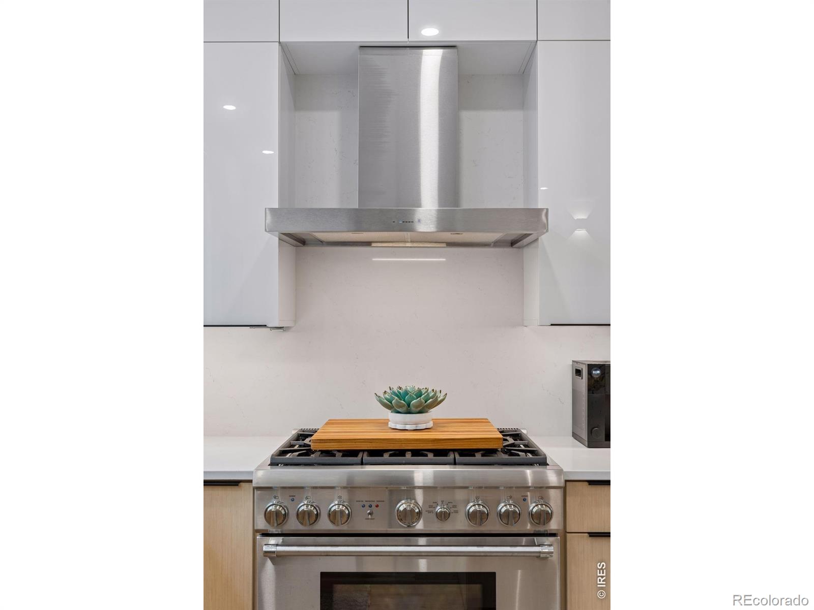 MLS #RECIR1069035 image #9