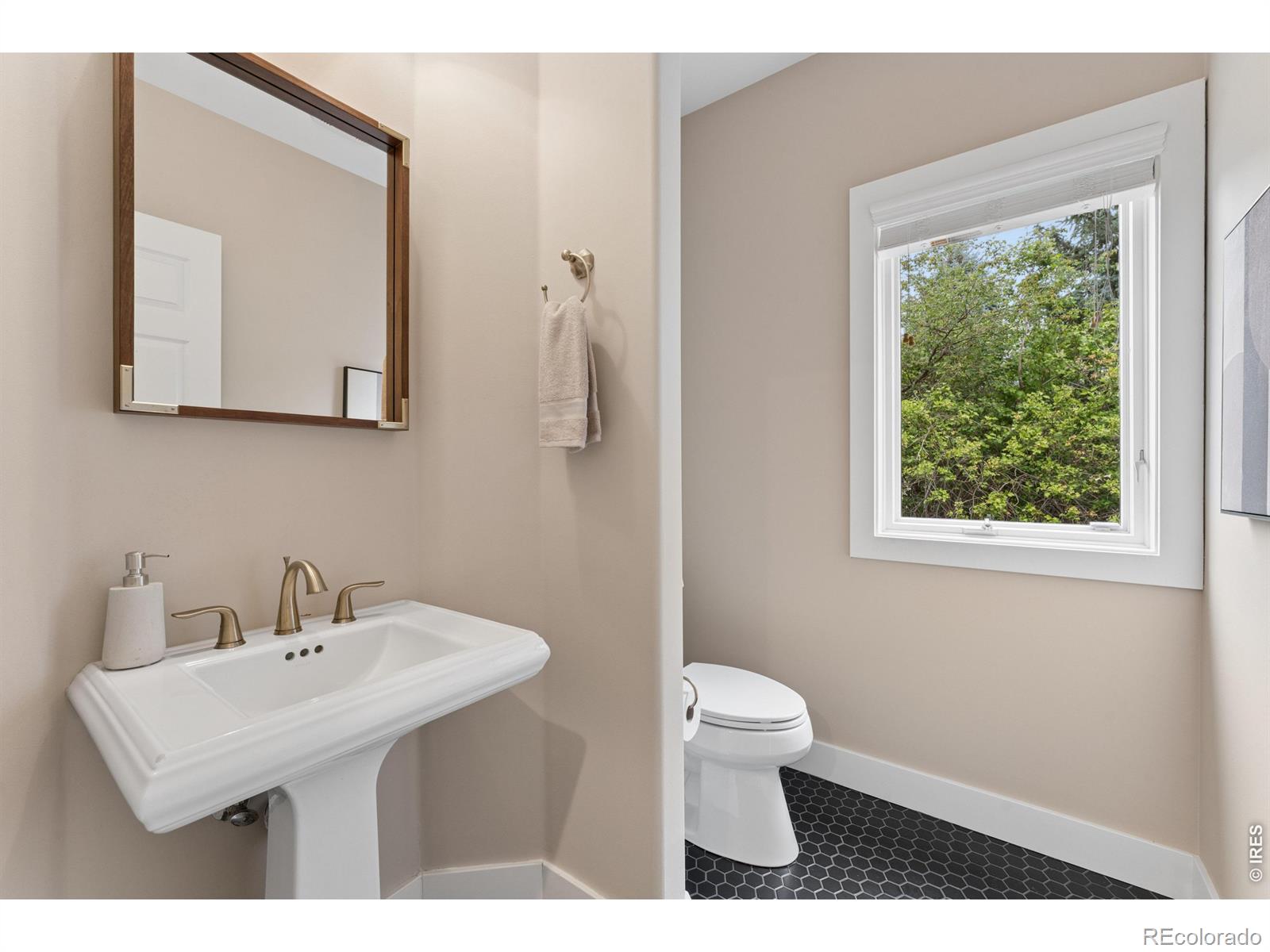 MLS #RECIR1069083 image #20