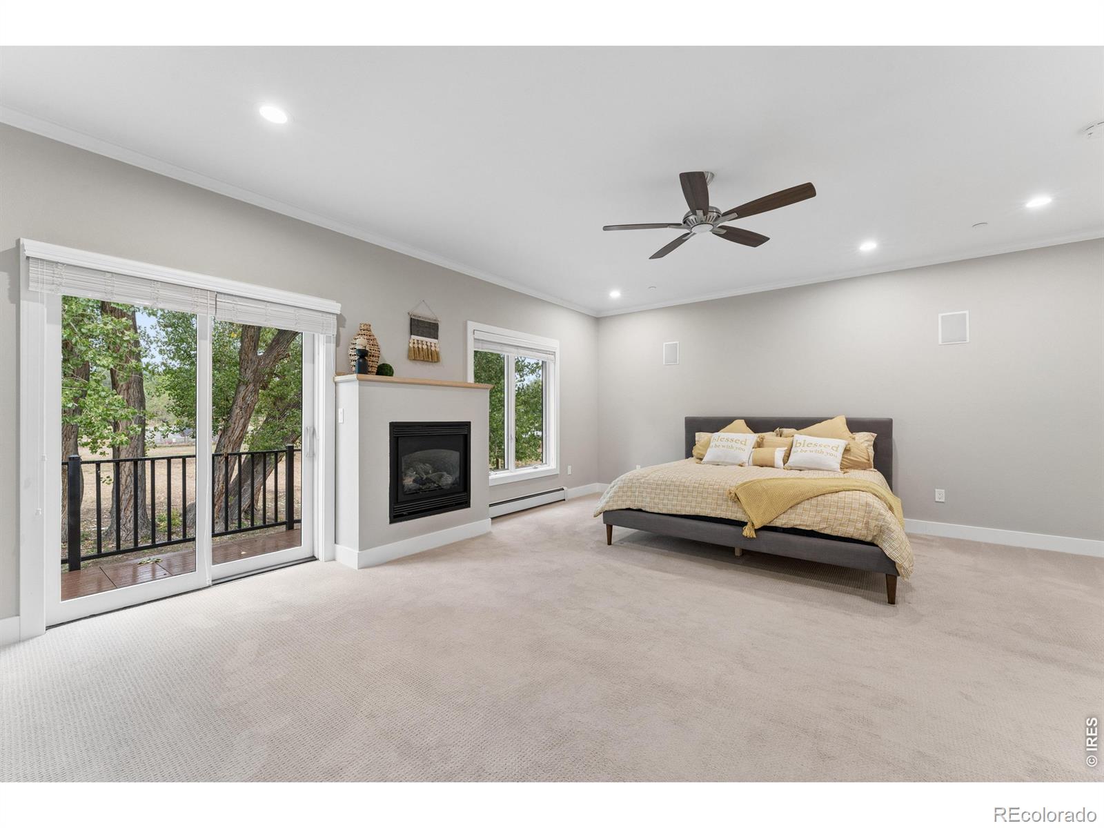 MLS #RECIR1069083 image #22