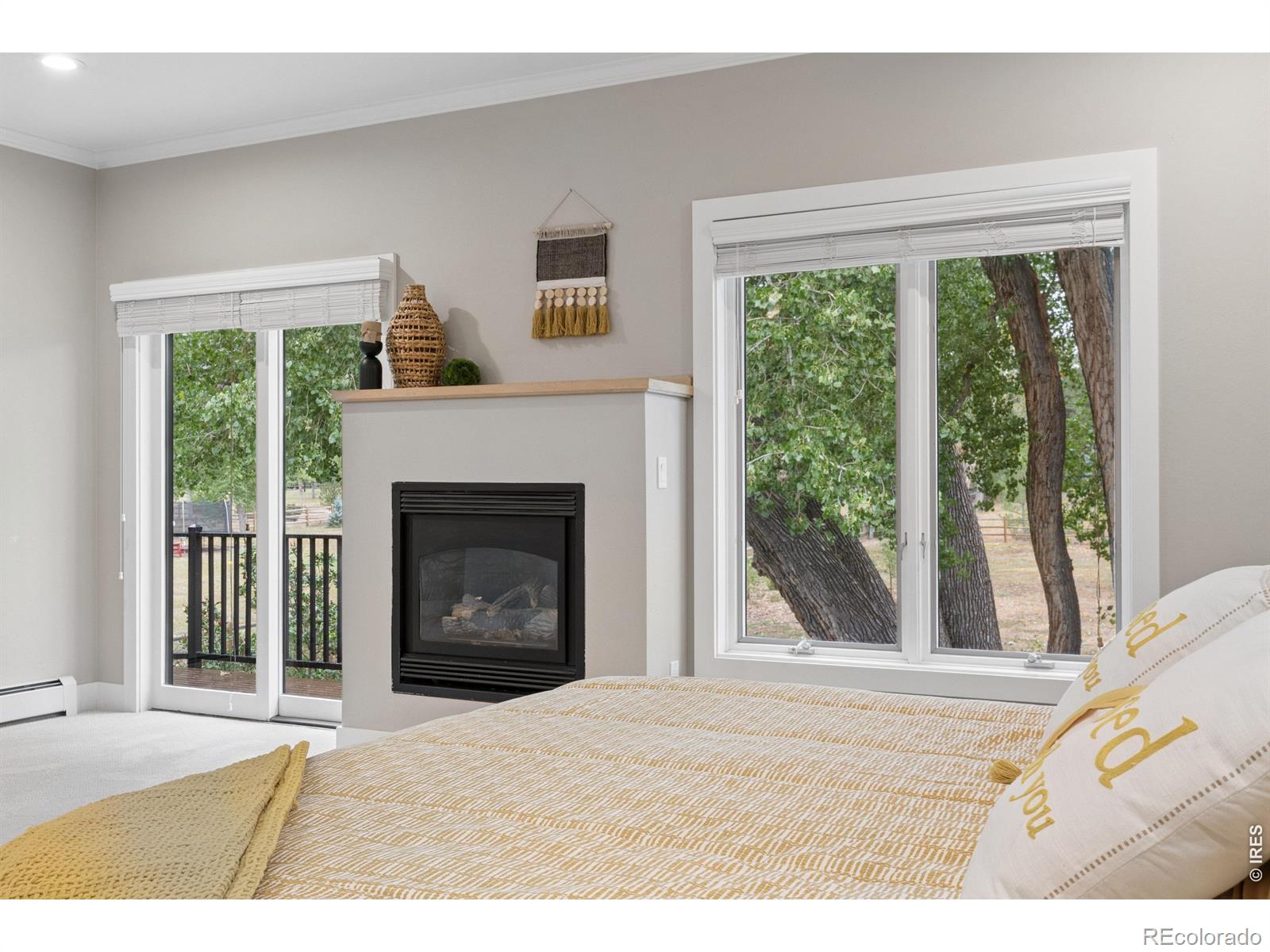 MLS #RECIR1069083 image #23