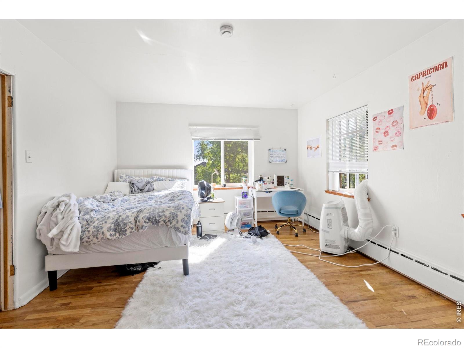 MLS #RECIR1069190 image #11