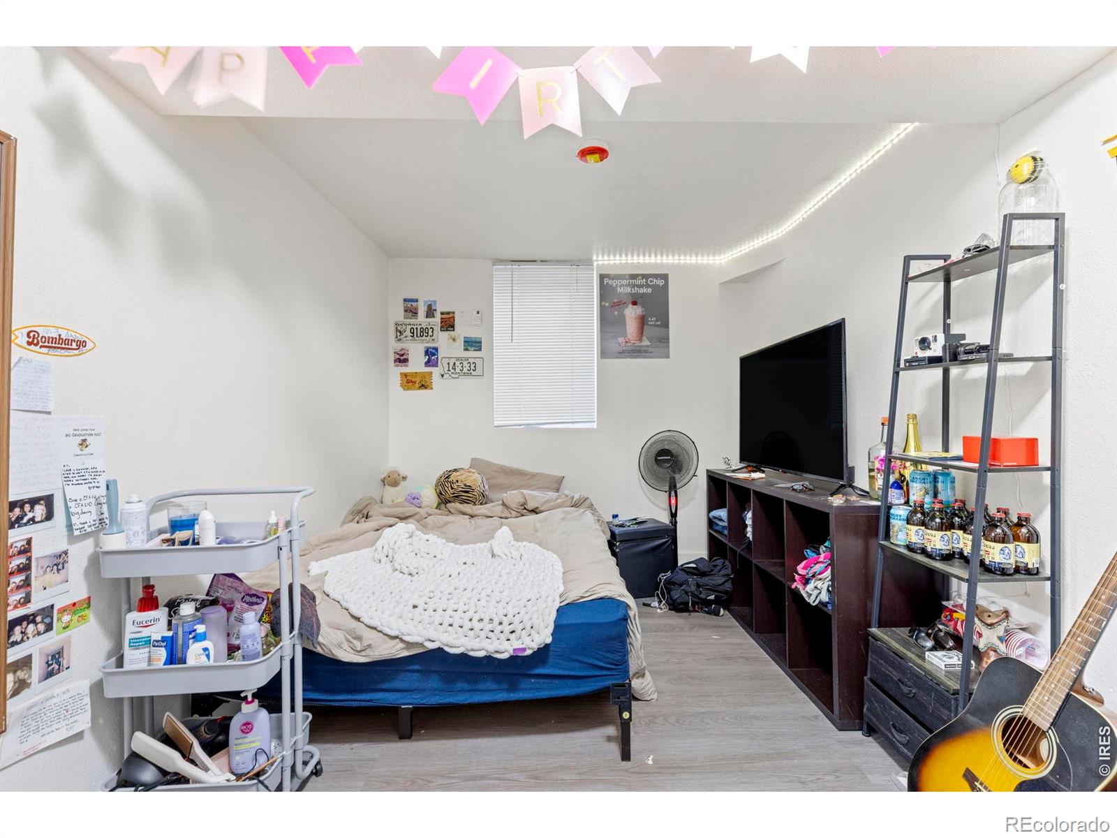 MLS #RECIR1069190 image #13
