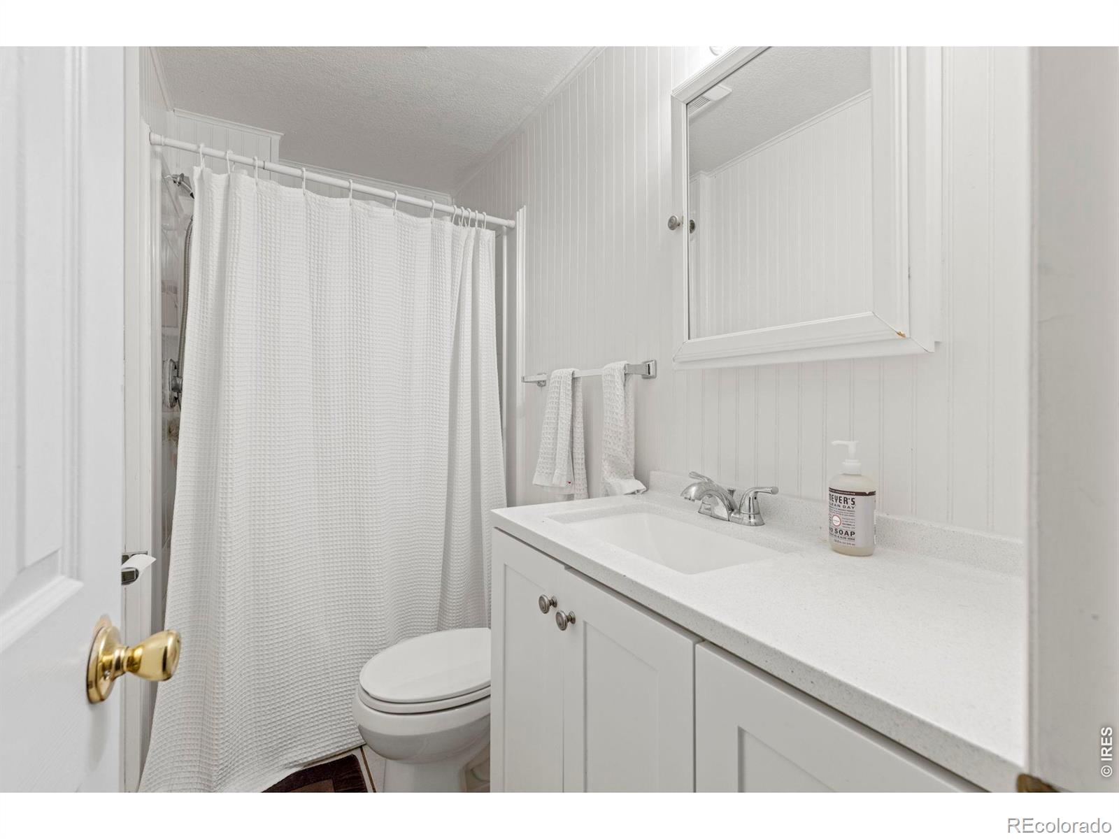 MLS #RECIR1069190 image #18