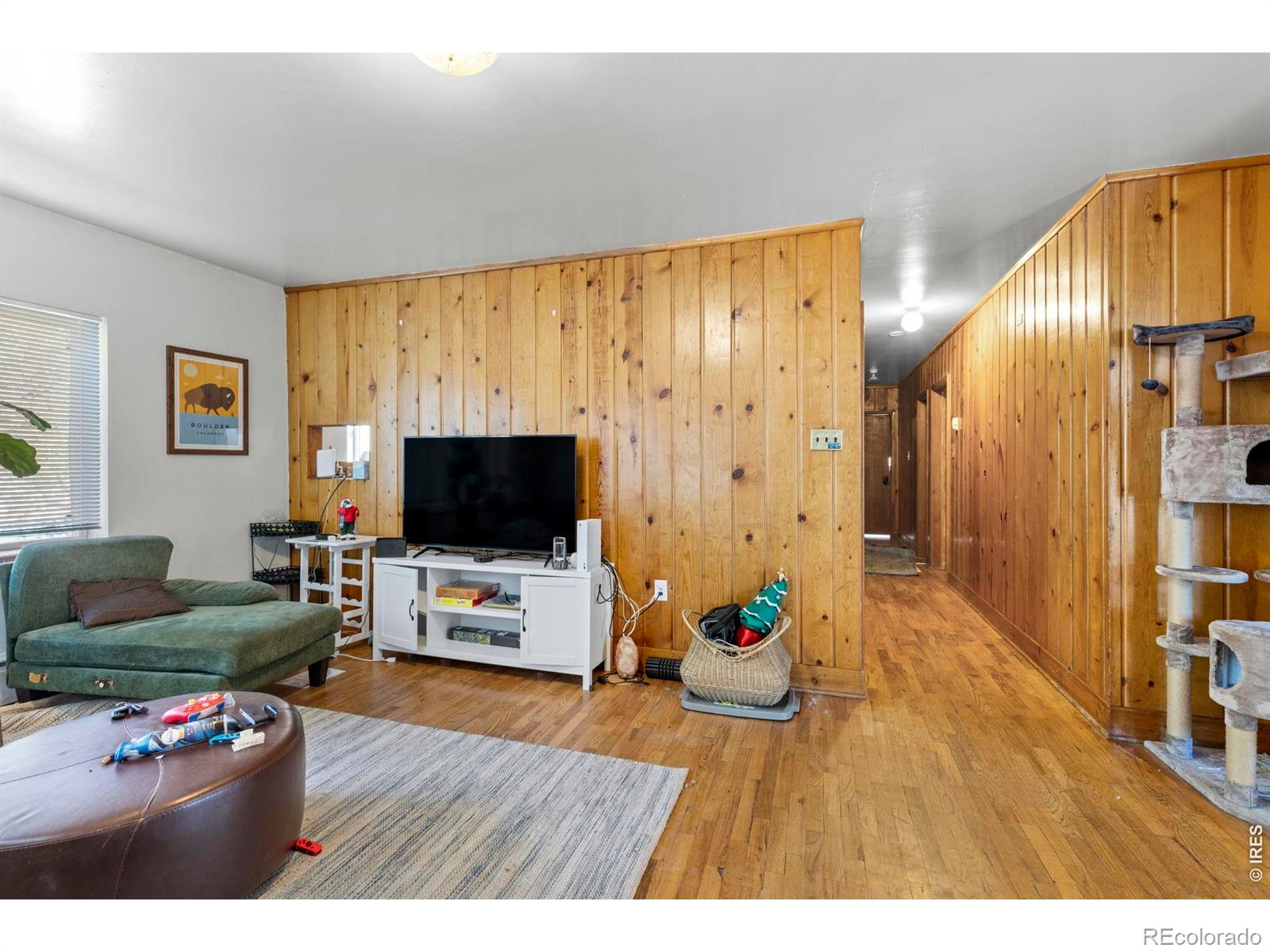 MLS #RECIR1069190 image #4